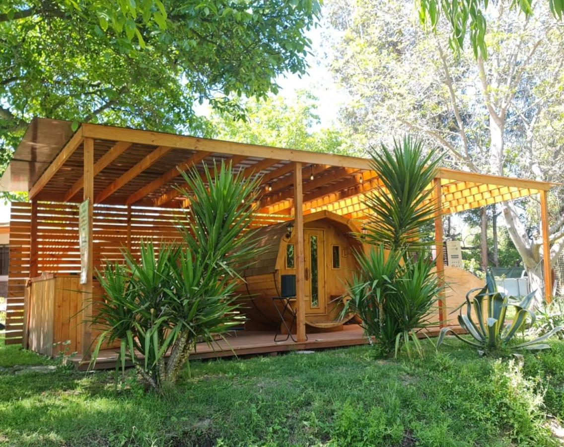 Glamping Penaflor