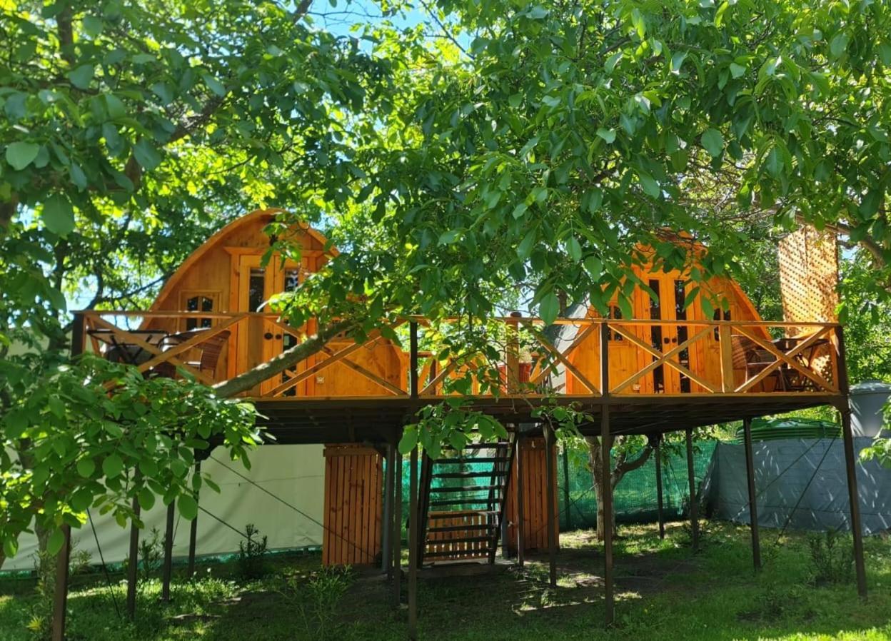 Glamping
