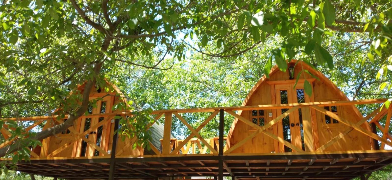 Glamping Lodge