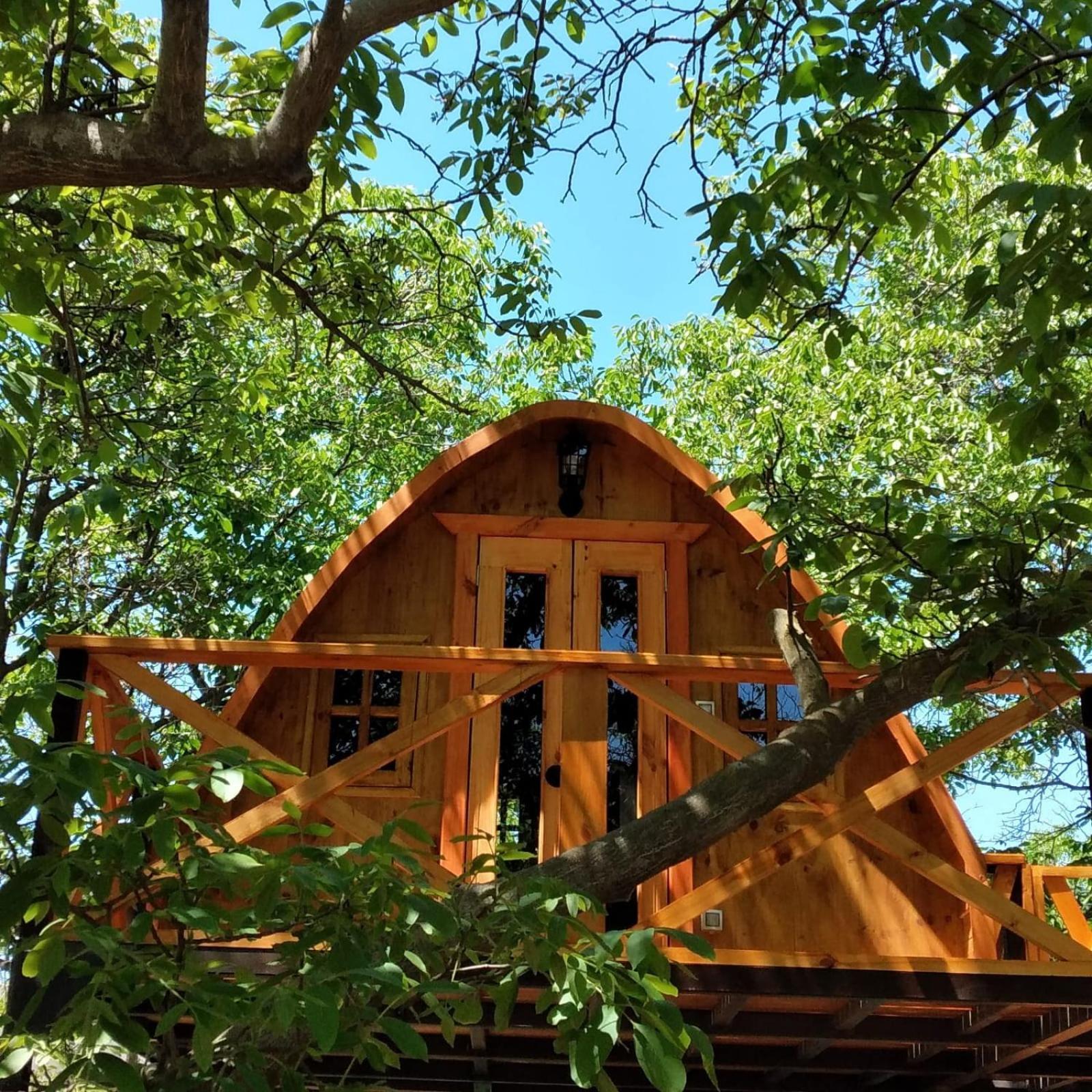 Glamping *